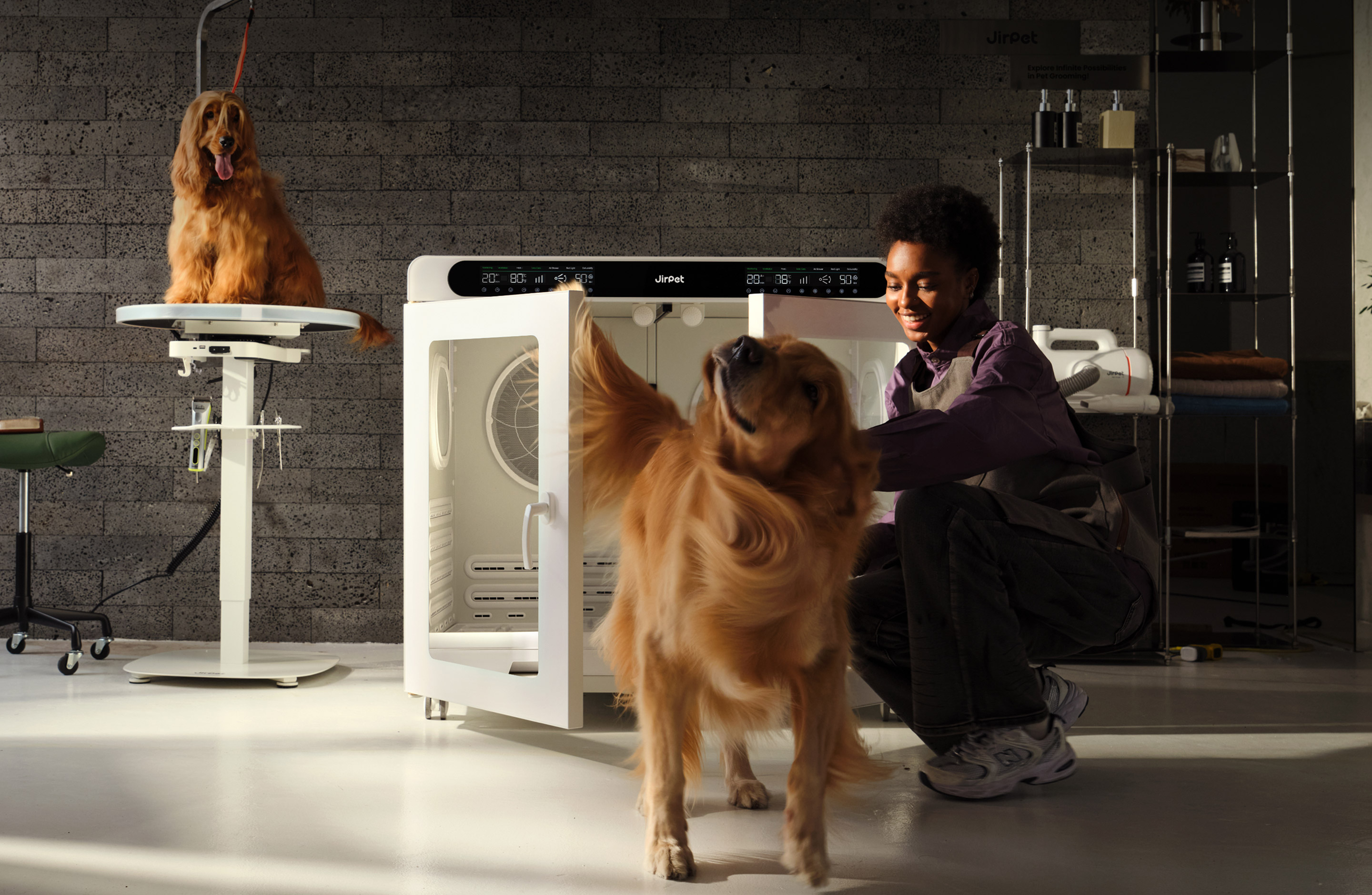 Commercial Dual Cabin Pet Dryer Cabinet | Jirpet CPlus
