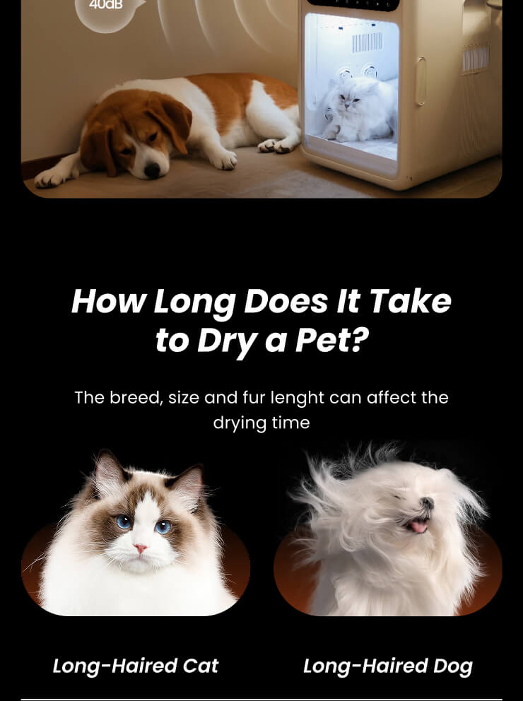 jirpet F1 产品图片 10