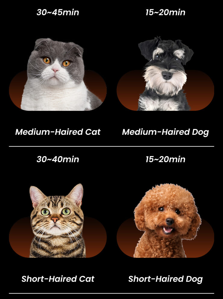 jirpet F1 产品图片 12