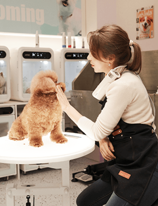 Snapshot of High End Pet Grooming In Downtown Leschenaultia