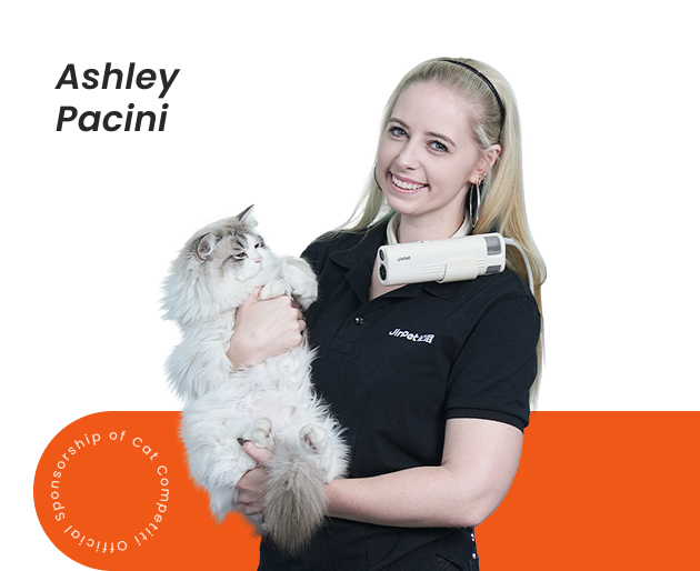 Professional Pet Grooming