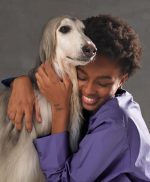 F1 Pet Hair Dryer Cabin