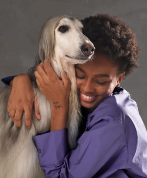 F1 Pet Hair Dryer Cabin